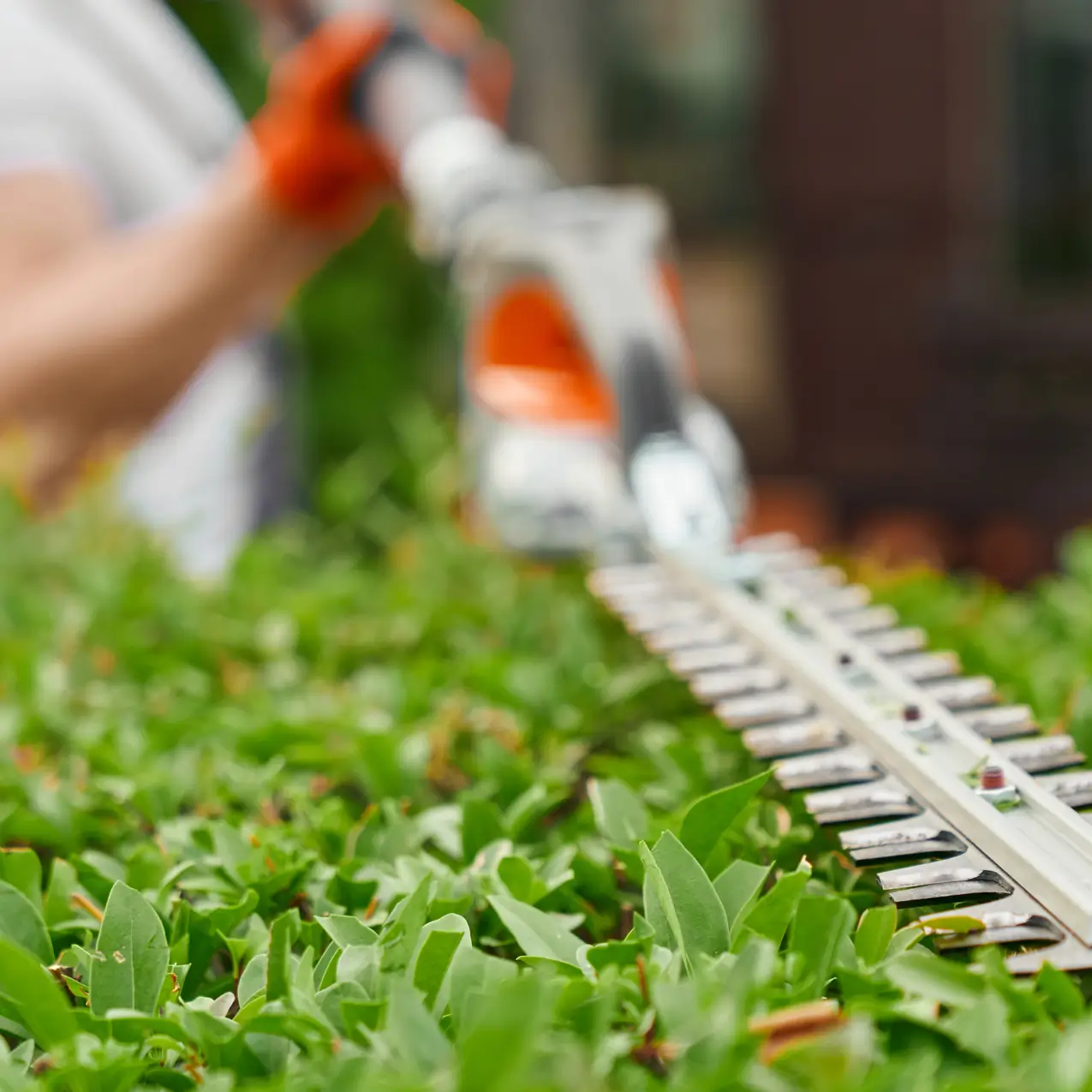 Landscaping Estimation Sample